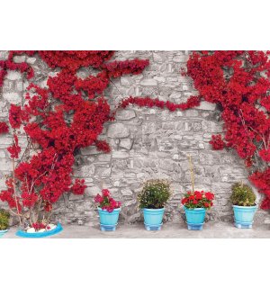 Fototapeta vliesová: Červená květinová zeď (1) - 416x254 cm