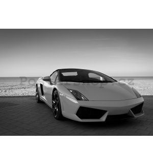Fototapeta vliesová: Černobílé Lamborghini - 254x184 cm
