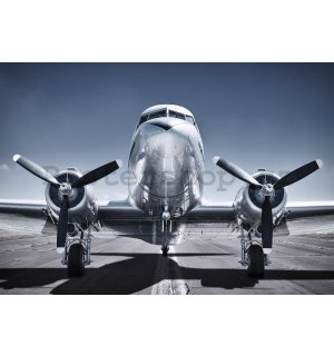Fototapeta: Historické letadlo - 368x254cm