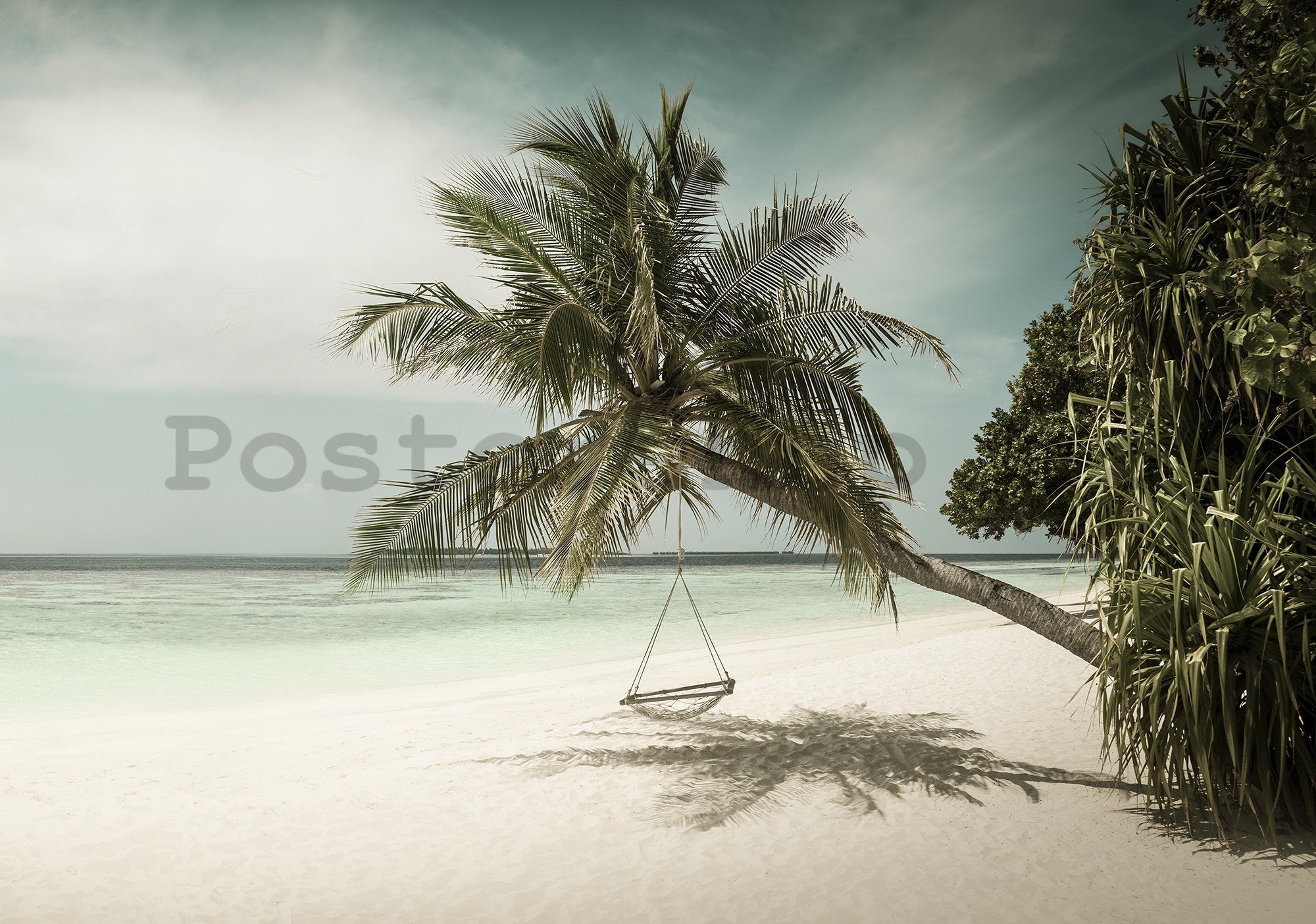 Fototapeta vliesová: Houpačka na pláži (2) - 368x254 cm