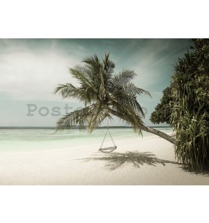 Fototapeta vliesová: Houpačka na pláži (2) - 368x254 cm