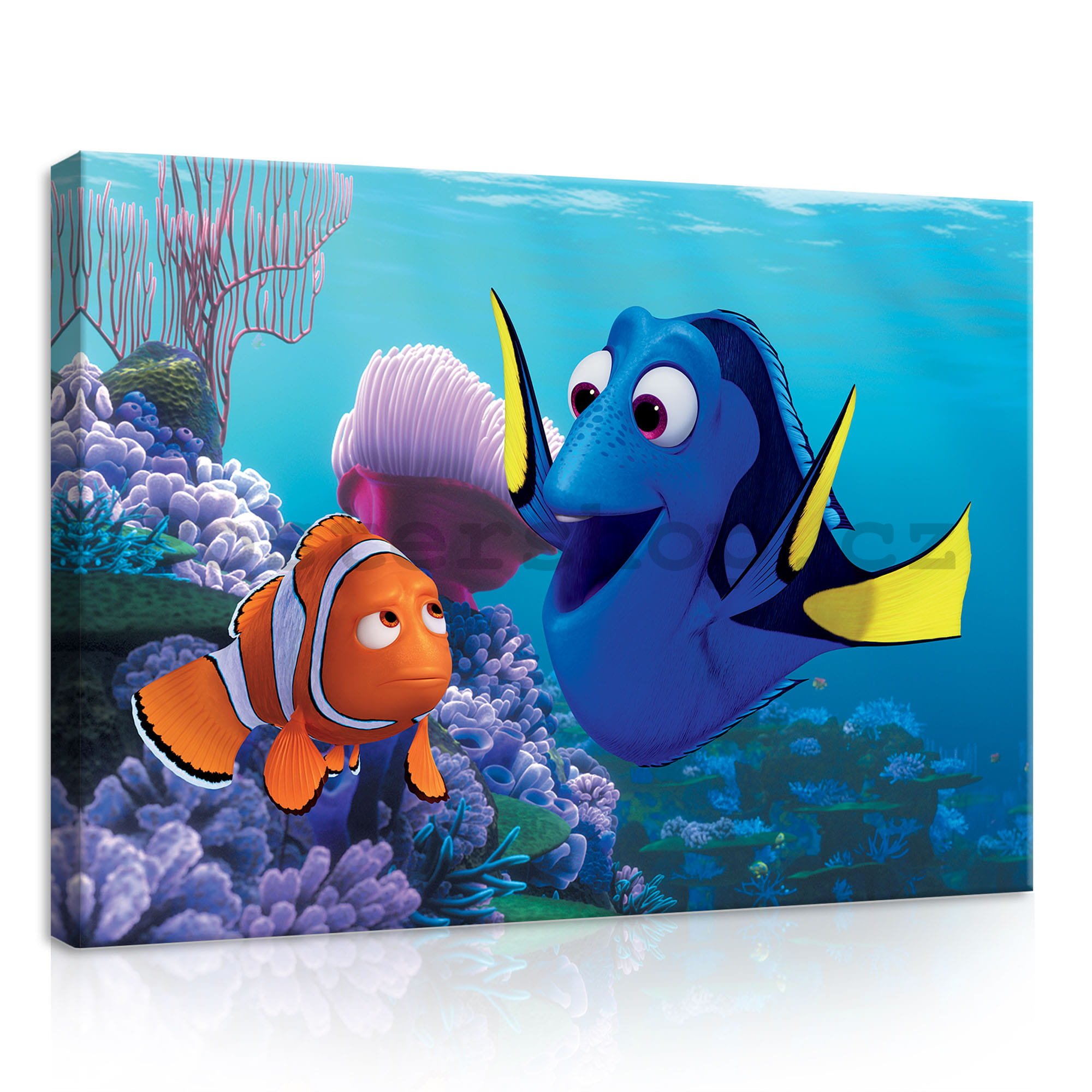 Obraz na plátně: Hledá se Nemo (Marlin & Dory) - 35x25 cm
