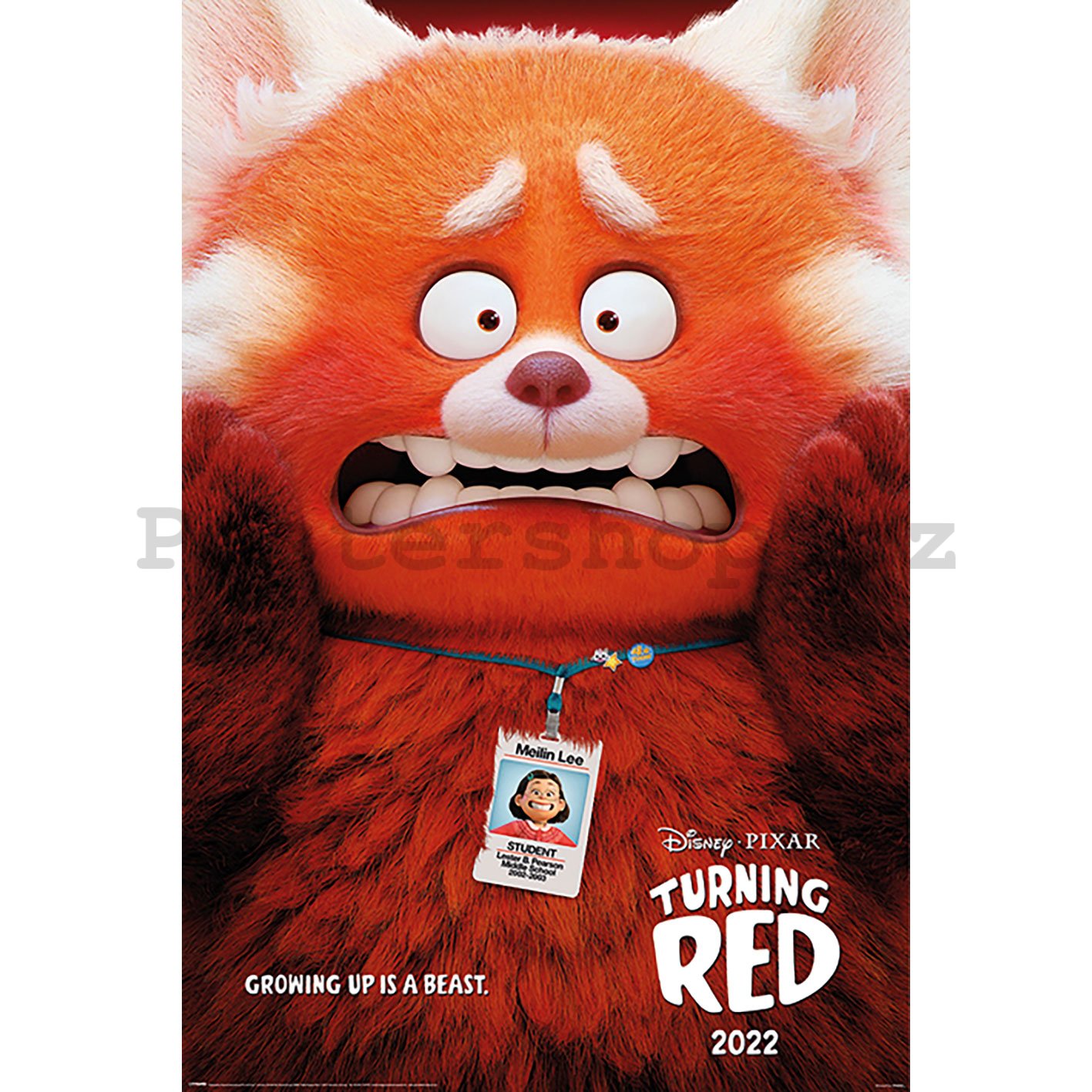 Plakát - Proměna (Red panda Mei)