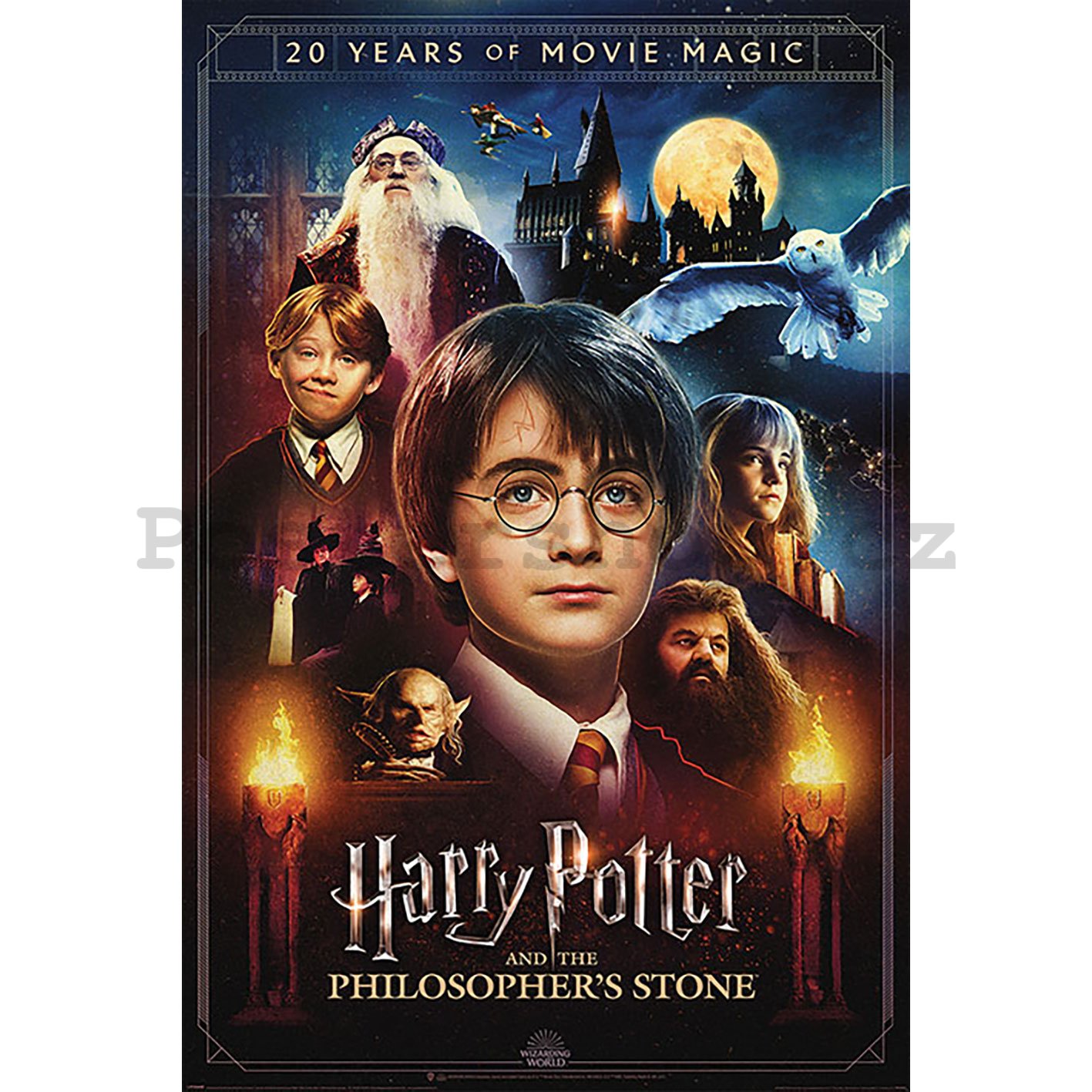 Plakát - Harry Potter (20 Years of Movie Magic)