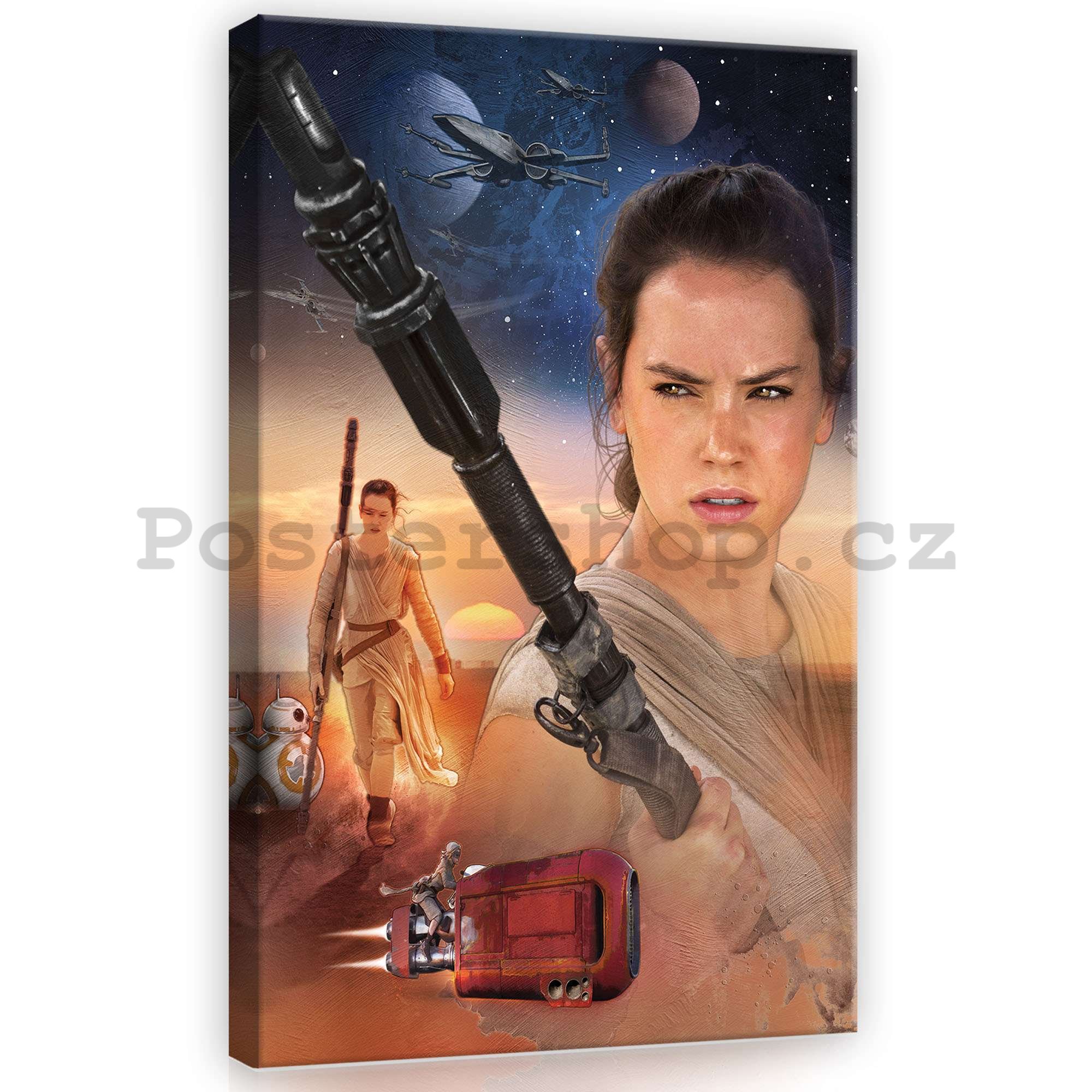 Obraz na plátně: Star Wars, Rey - 40x60 cm