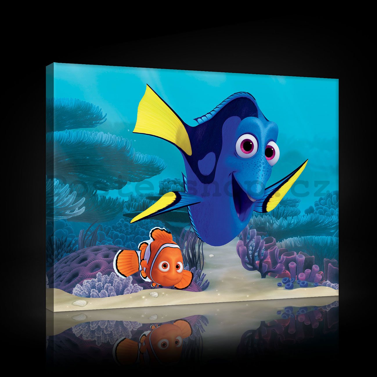 Obraz na plátně: Hledá se Nemo - 60x40 cm