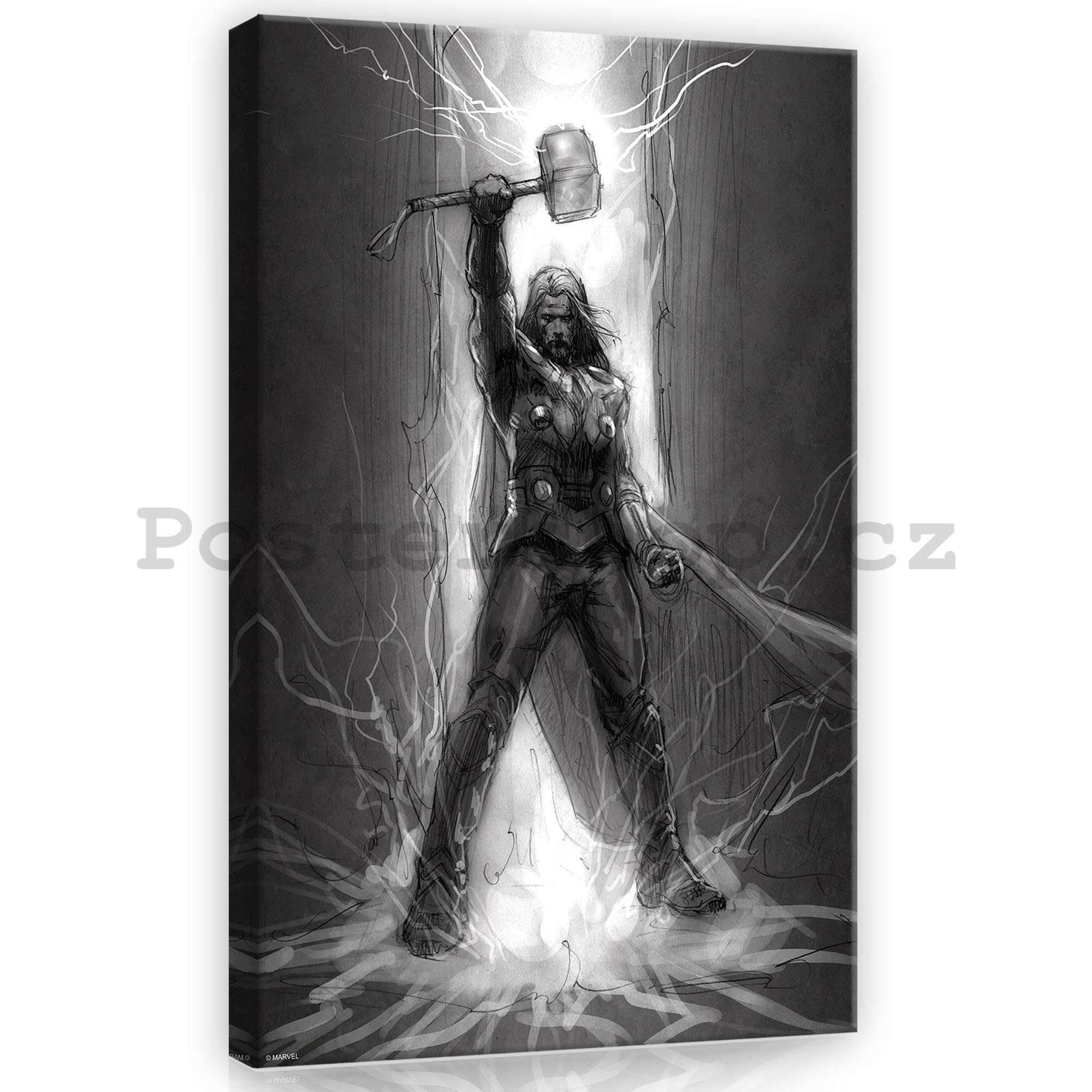 Obraz na plátně: Thor (černobílý) - 60x40 cm