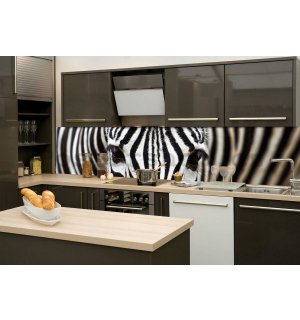 Samolepící omyvatelná fototapeta za kuchyňskou linku - Zebra, 260x60 cm