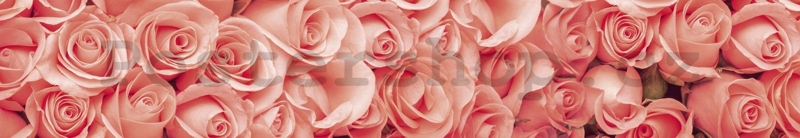 Samolepící omyvatelná tapeta za kuchyňskou linku - Růžové růže, 350x60 cm