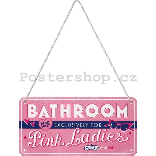 Závěsná cedule: Pink Ladies Bathroom - 20x10 cm