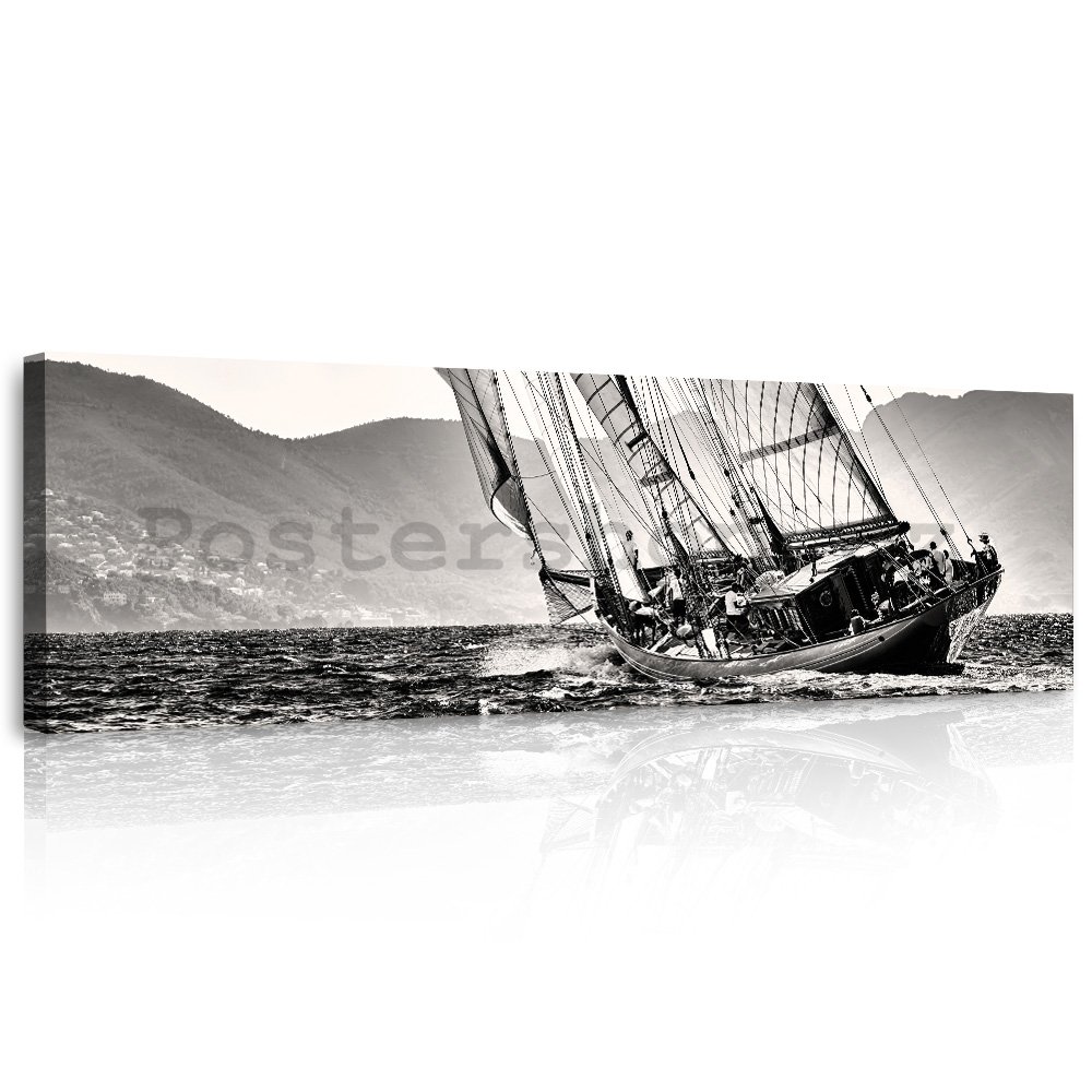 Obraz na plátně: Jachting (černobílá plachetnice) - 145x45 cm