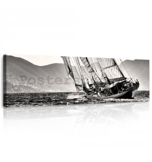 Obraz na plátně: Jachting (černobílá plachetnice) - 145x45 cm