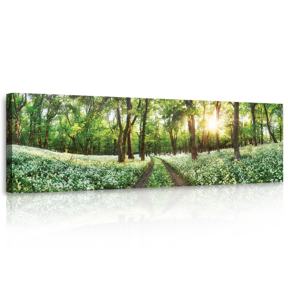 Obraz na plátně: Kvetoucí lesní cesta - 145x45 cm