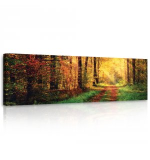Obraz na plátně: Podzimní cesta - 145x45 cm