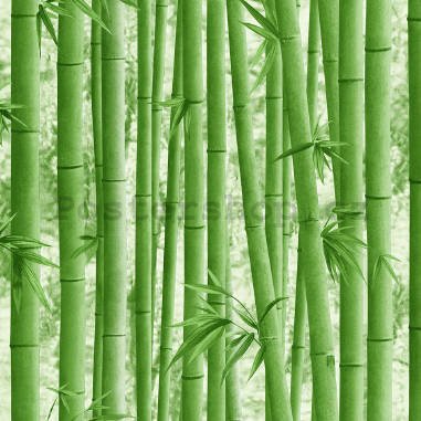 Vinylová omyvatelná tapeta bambus