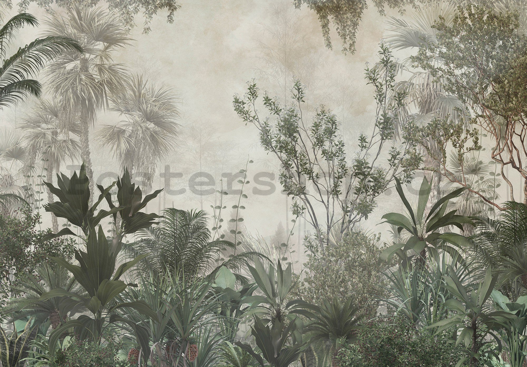 Fototapeta vliesová: Lesní džungle zelená - 254x184 cm