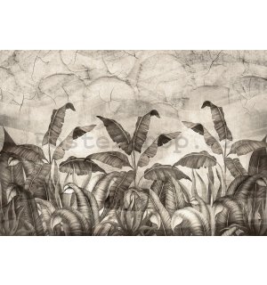 Fototapeta vliesová: Imitace přírodních listů černobílé - 254x184 cm