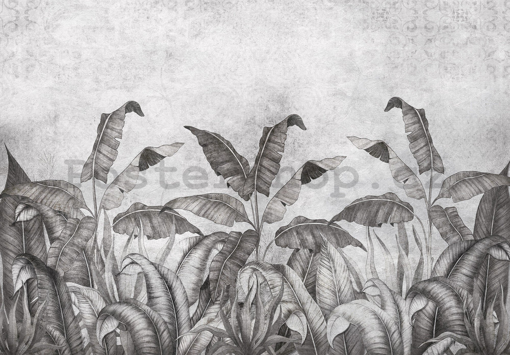 Fototapeta vliesová: Imitace přírodních listů černobílé (2) - 254x184 cm