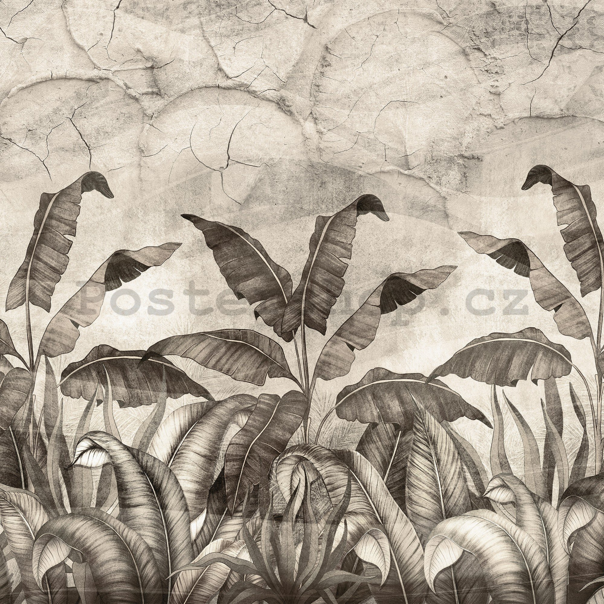 Fototapeta vliesová: Imitace přírodních listů černobílé - 368x254 cm