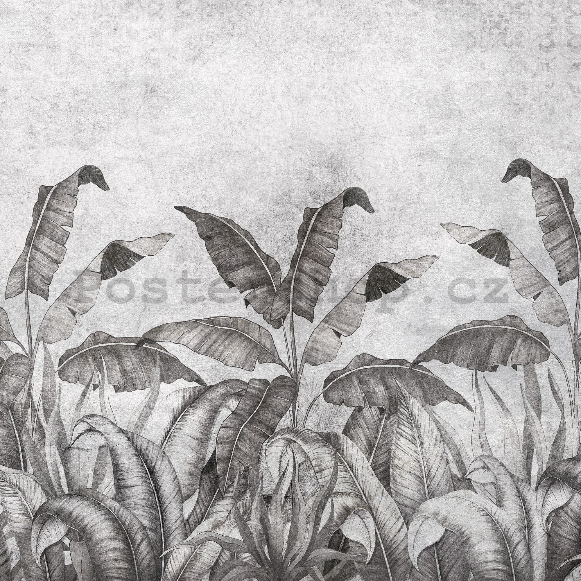 Fototapeta vliesová: Imitace přírodních listů černobílé (2) - 416x254 cm