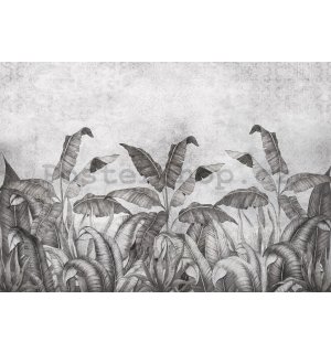 Fototapeta vliesová: Imitace přírodních listů černobílé (2) - 416x254 cm