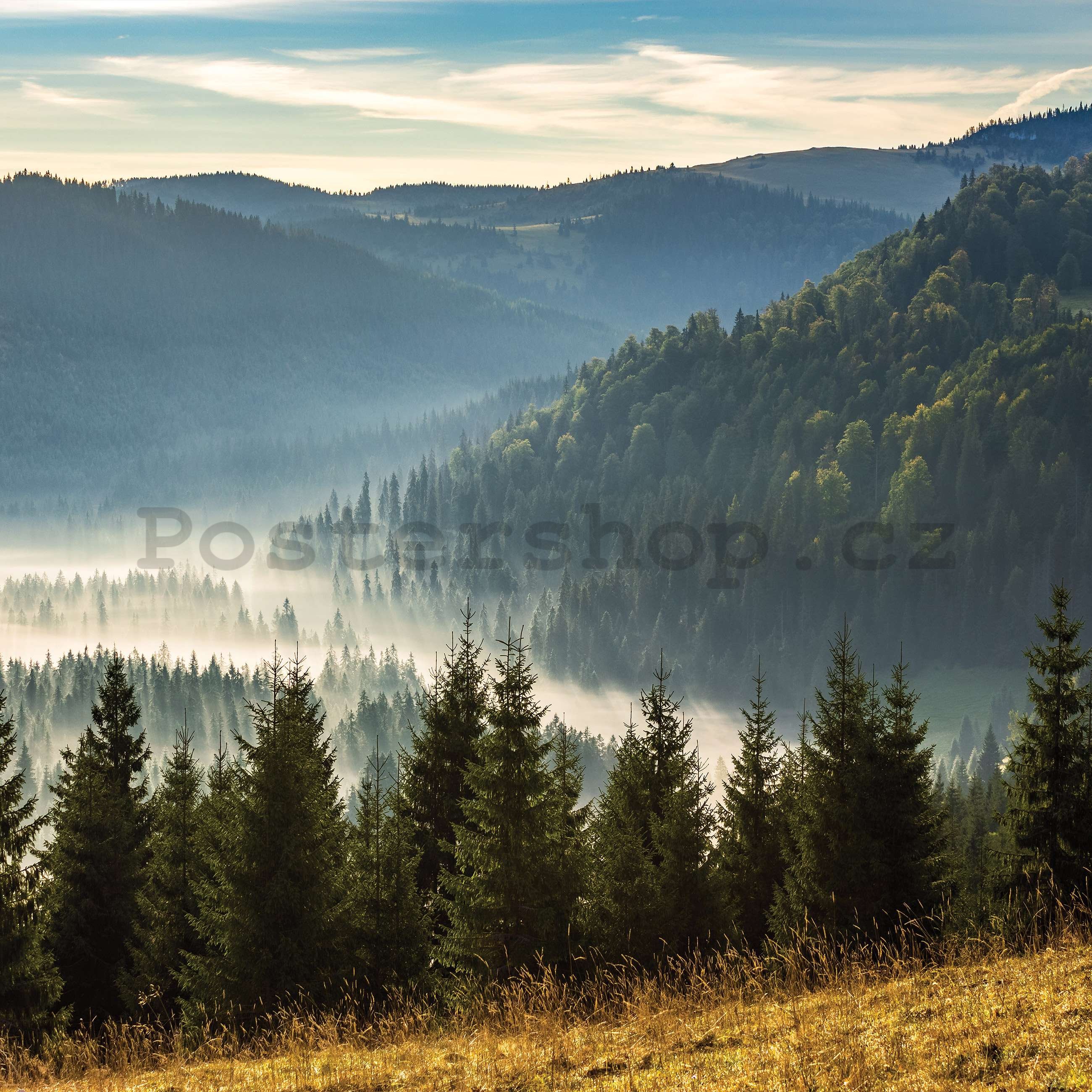 Fototapeta vliesová: Lesní příroda horská krajina - 254x184 cm