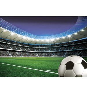 Fototapeta vliesová: Sportovní fotbalový stadion - 152,5x104 cm