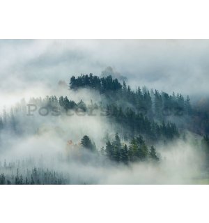 Fototapeta vliesová: Mlha nad lesem (4) - 254x184 cm