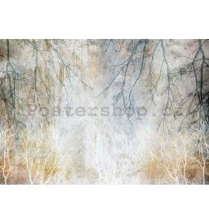 Fototapeta vliesová: Podzimní větve - 368x254 cm