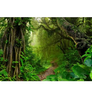 Fototapeta vliesová: Stezka v lese - 368x254 cm