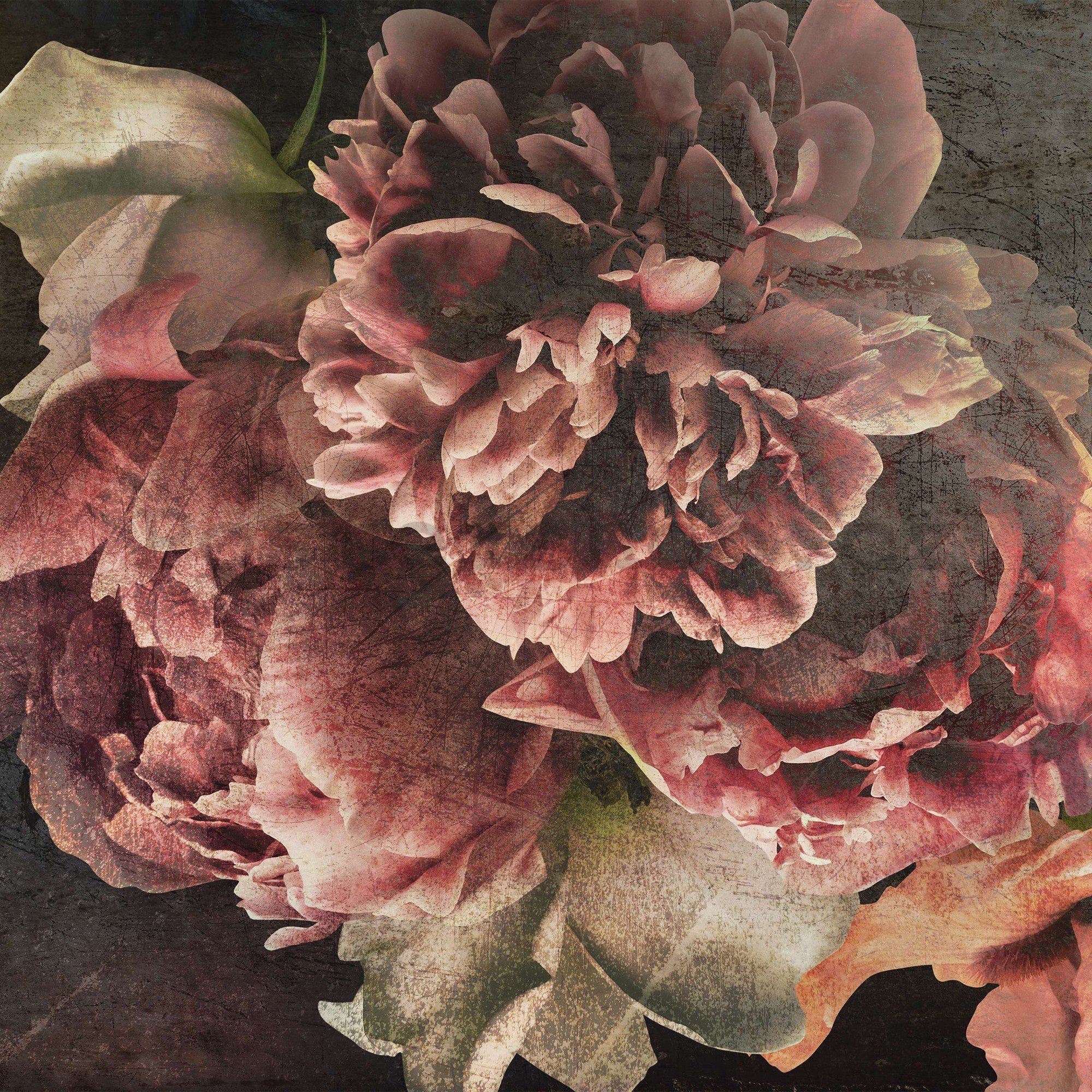 Fototapeta vliesová: Květy pivoněk - 254x184 cm