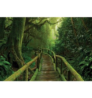 Fototapeta vliesová: Lávka v džungli - 254x184 cm
