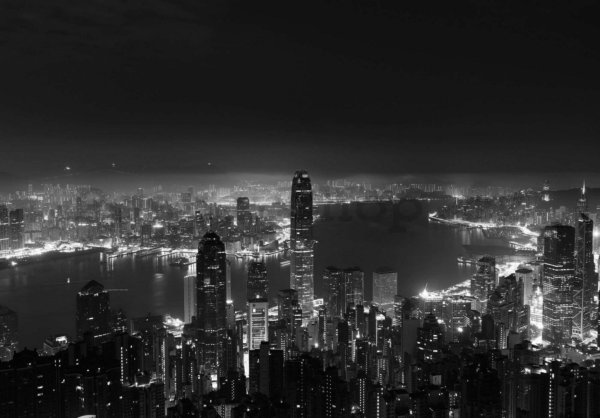 Fototapeta vliesová: Panorama velkoměsta (černobílý) - 368x254 cm