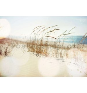 Fototapeta vliesová: Písečná duna - 368x254 cm