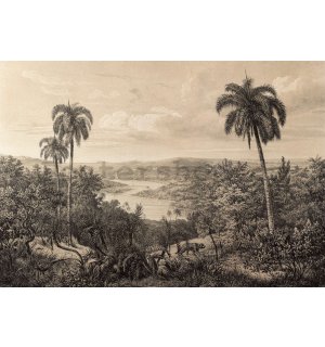 Fototapeta vliesová: Řeka Amazonka, litografie - 152,5x104 cm