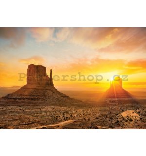 Fototapeta vliesová: Arizonská poušť - 104x70,5cm
