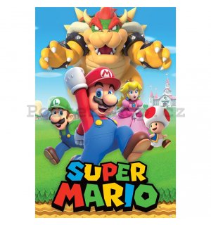 Plakát - Super Mario (Character Montage)