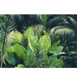 Fototapeta vliesová: Zelená džungle - 254x368 cm