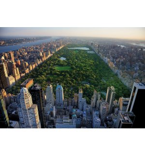 Fototapeta vliesová: New York Central Park - 254x184 cm