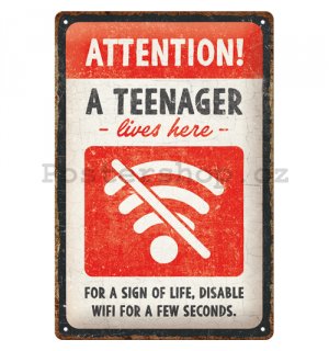 Plechová cedule: Teenager Wifi - 30x20 cm