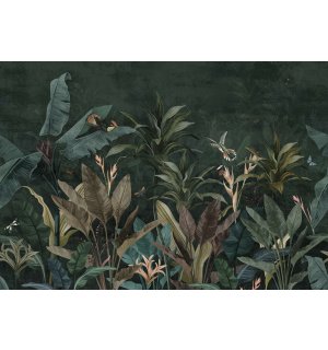 Fototapeta vliesová: Zvířata v džungli (Ptáci a motýli) - 254x184 cm