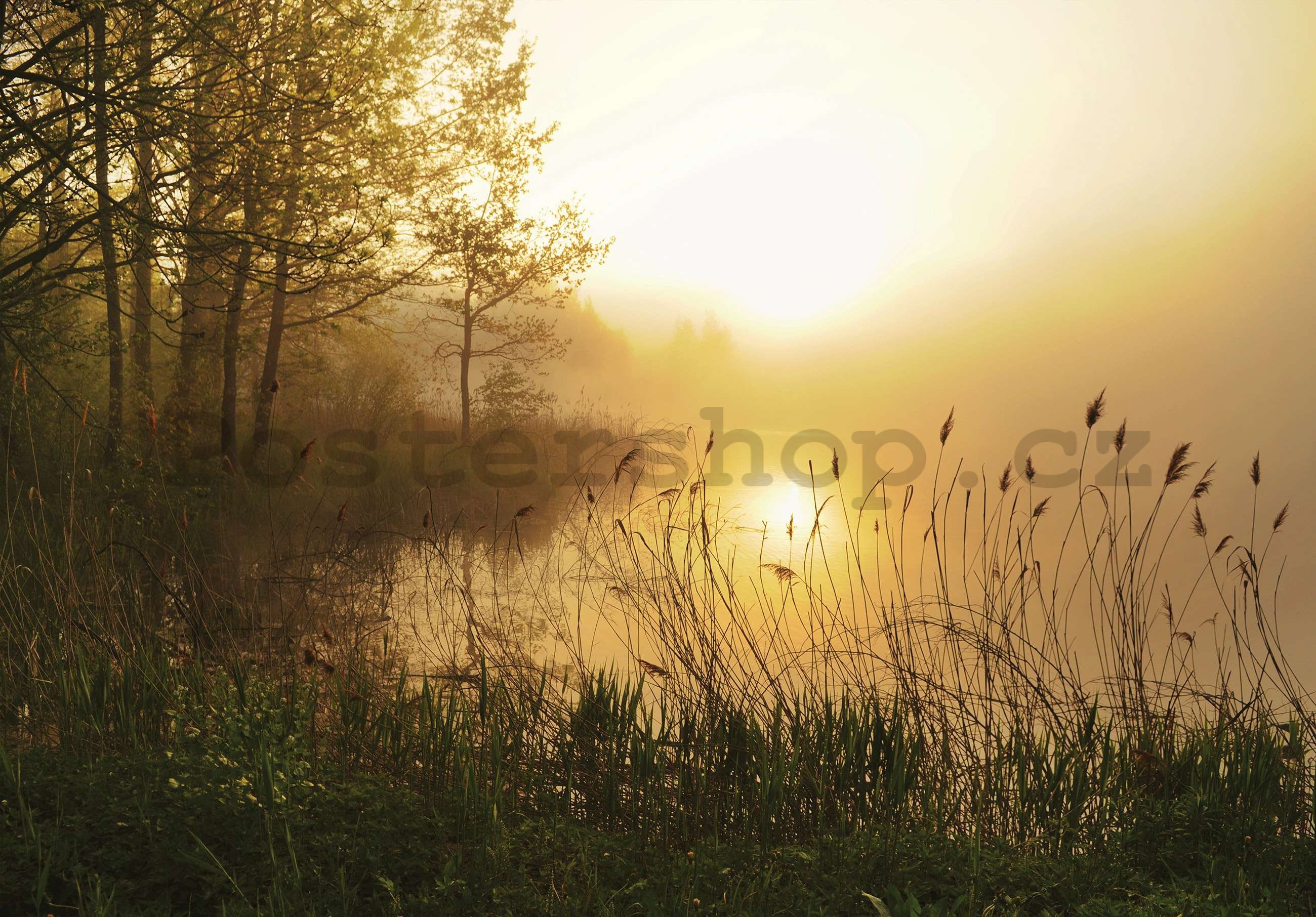 Fototapeta vliesová: Jezero v mlze - 254x184 cm