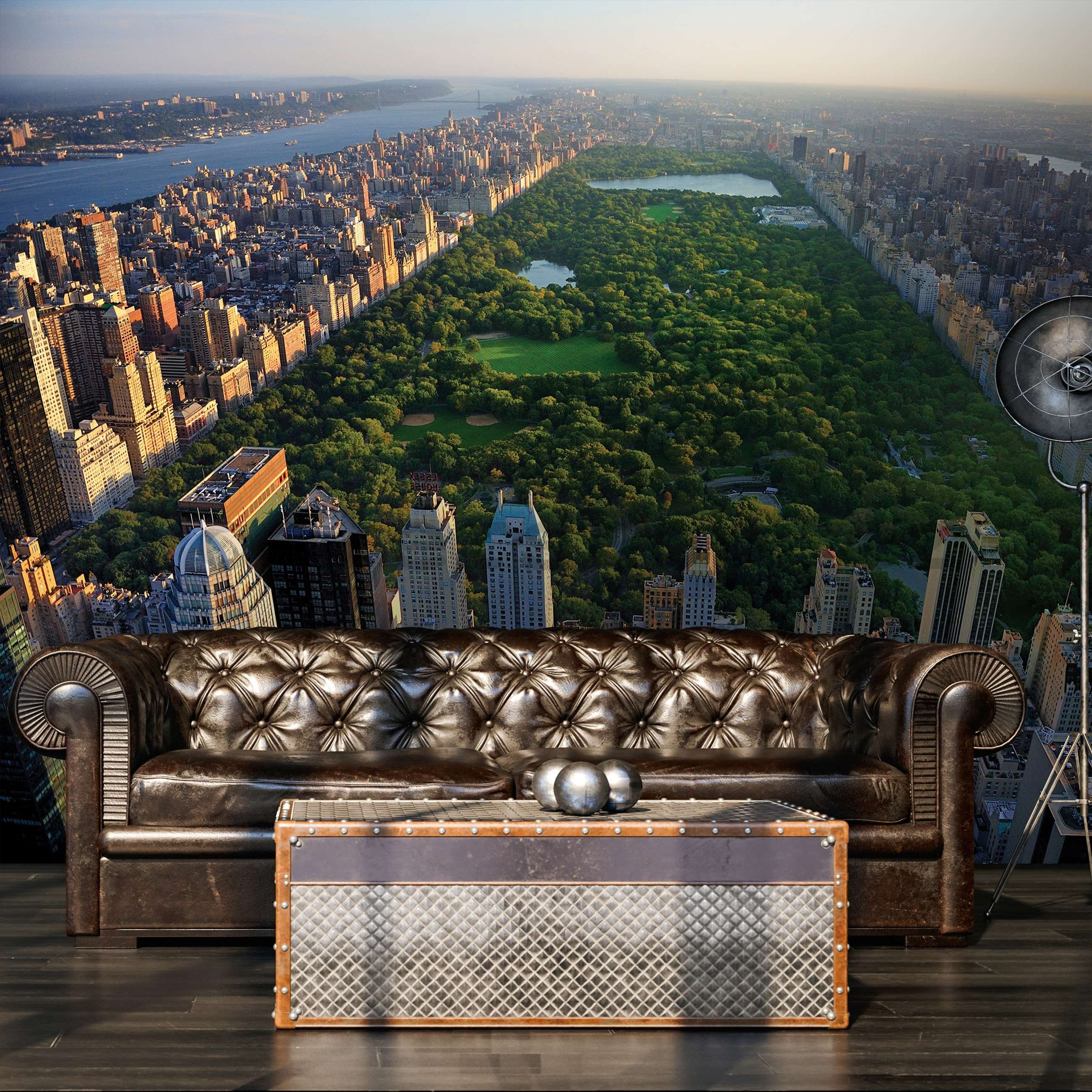 Fototapeta vliesová: New York Central Park - 254x184 cm