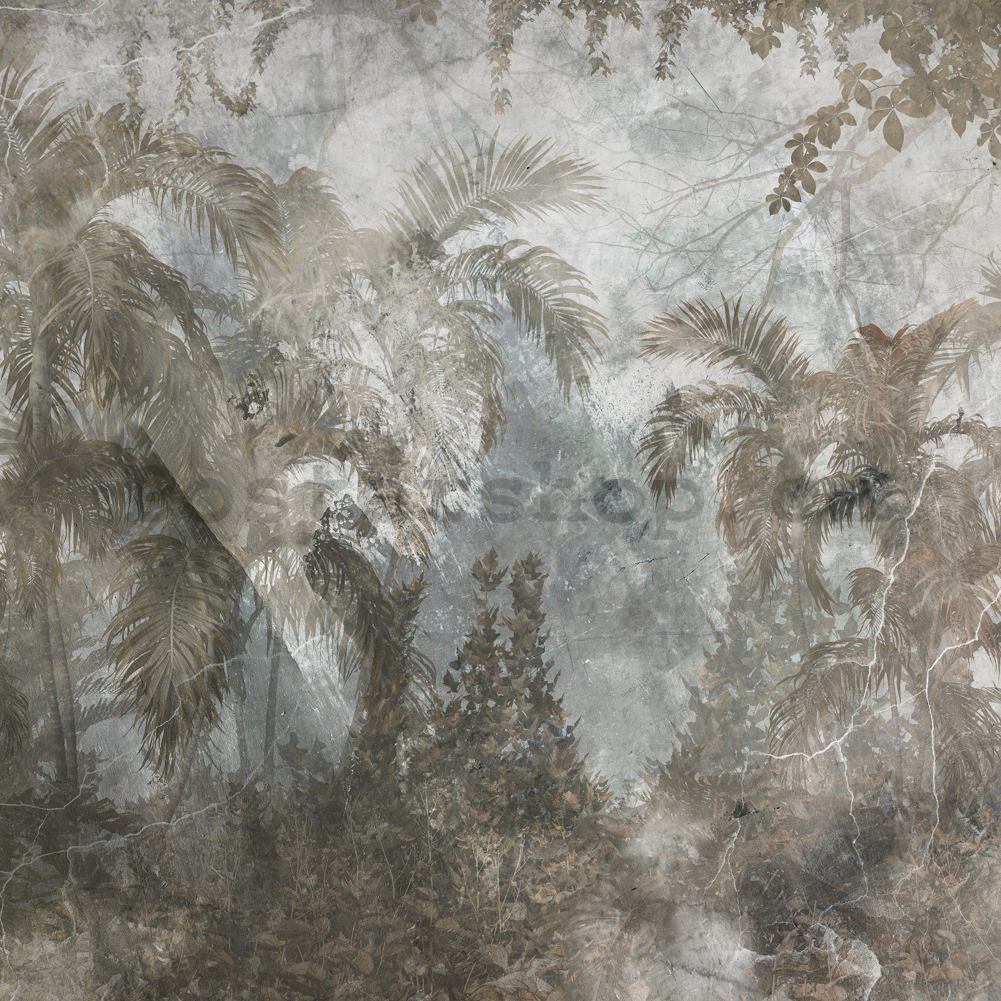 Fototapeta vliesová: Džungle (imitace betonu) - 254x184 cm