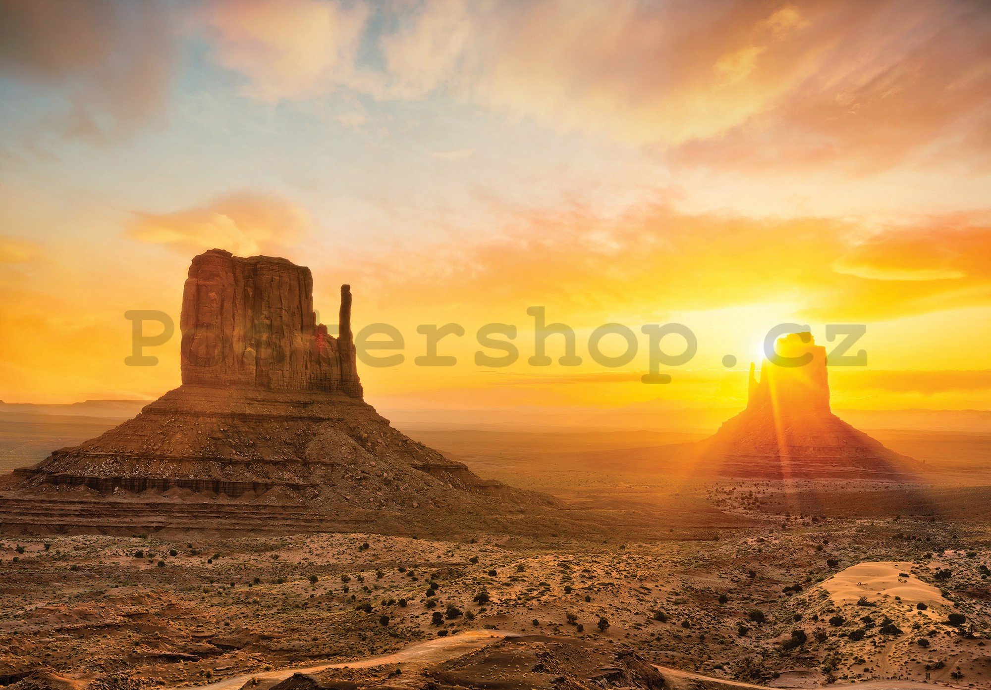Fototapeta vliesová: Arizonská poušť - 254x184 cm