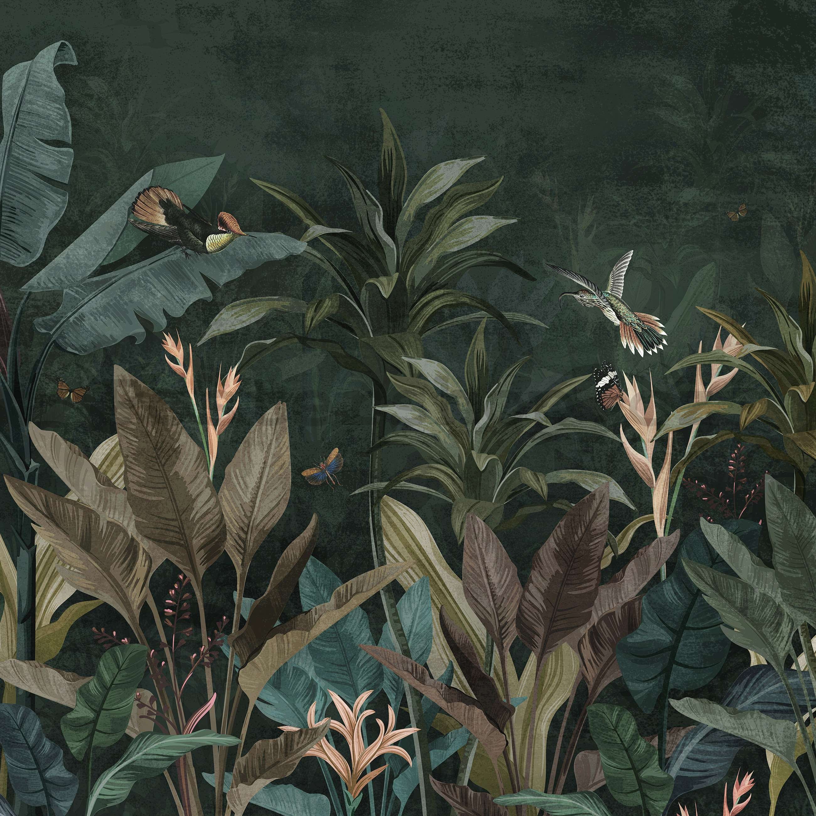 Fototapeta vliesová: Zvířata v džungli (Ptáci a motýli) - 368x254 cm