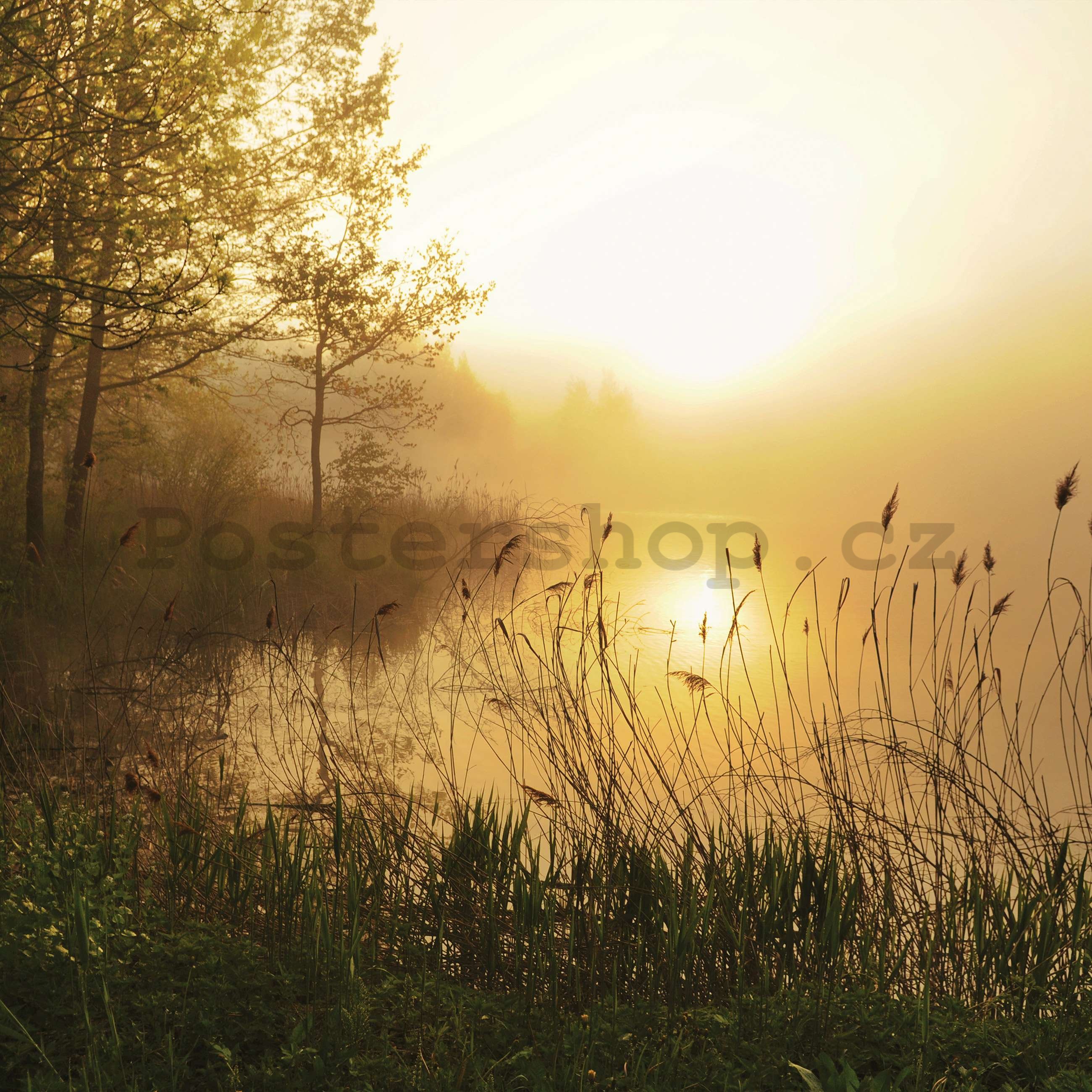 Fototapeta vliesová: Jezero v mlze - 368x254 cm
