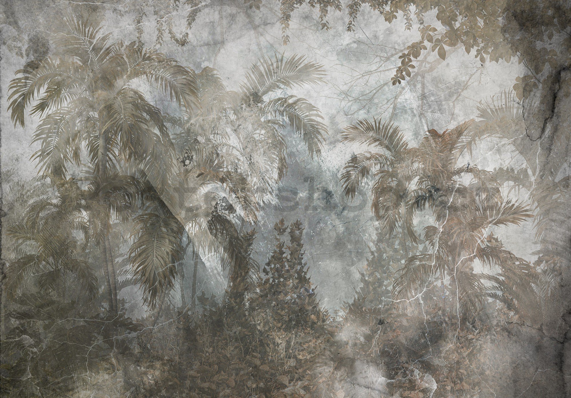 Fototapeta vliesová: Džungle (imitace betonu) - 368x254 cm
