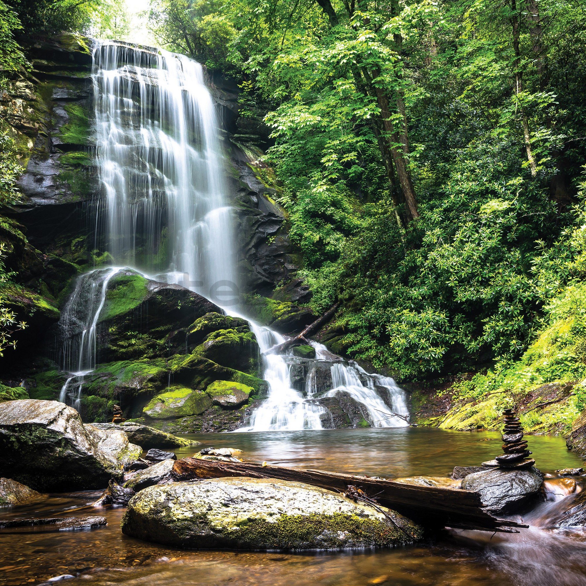 Fototapeta vliesová: Bílý vodopád v lese - 368x254 cm
