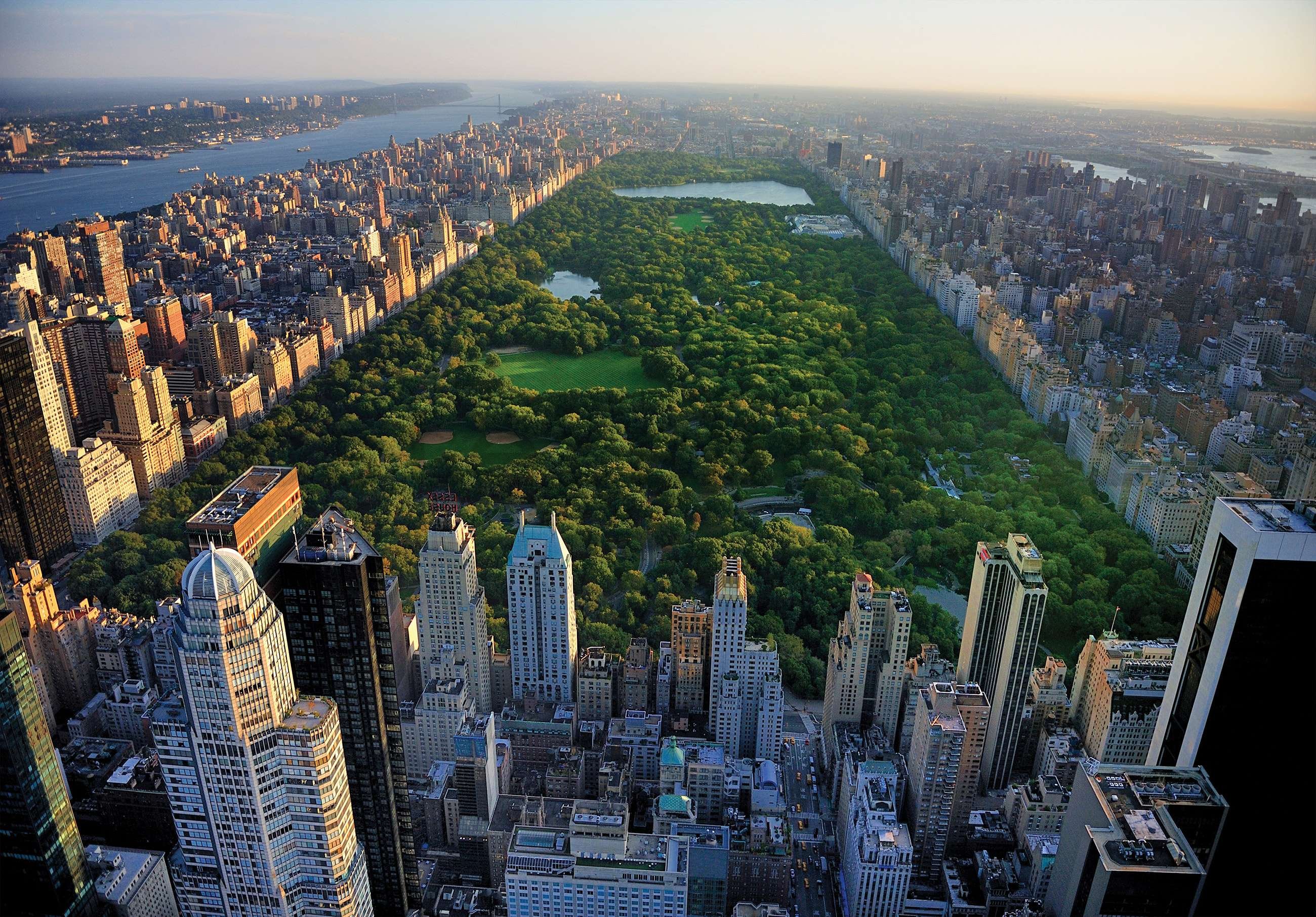 Fototapeta vliesová: New York Central Park - 152,5x104 cm